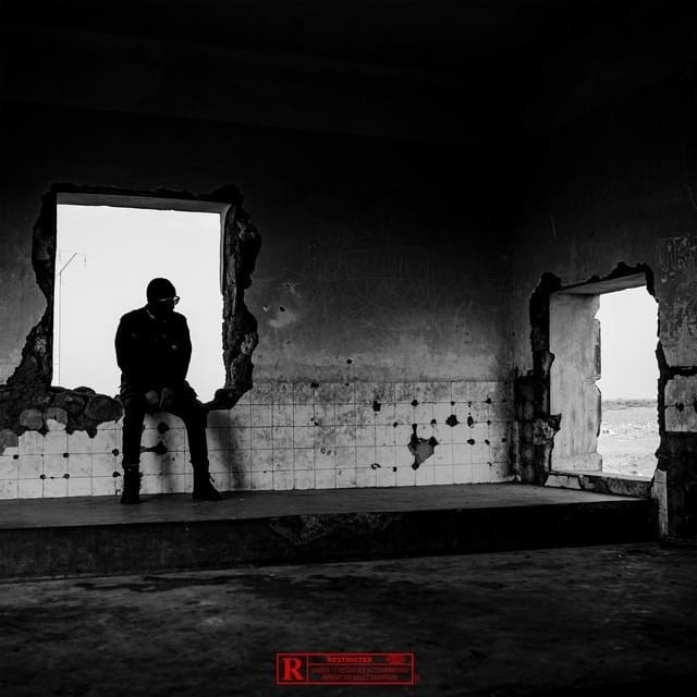 Cover image for CAPHARNAÜM
