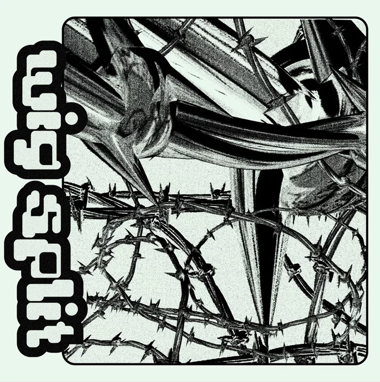 Album cover art for "Wig Split" by Pouya