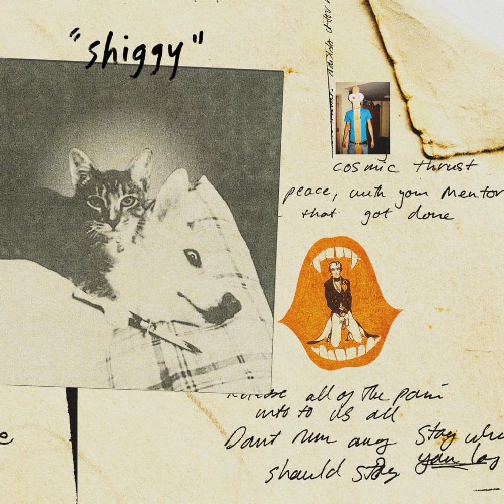 Shiggy by Stephen Malkmus & The Jicks