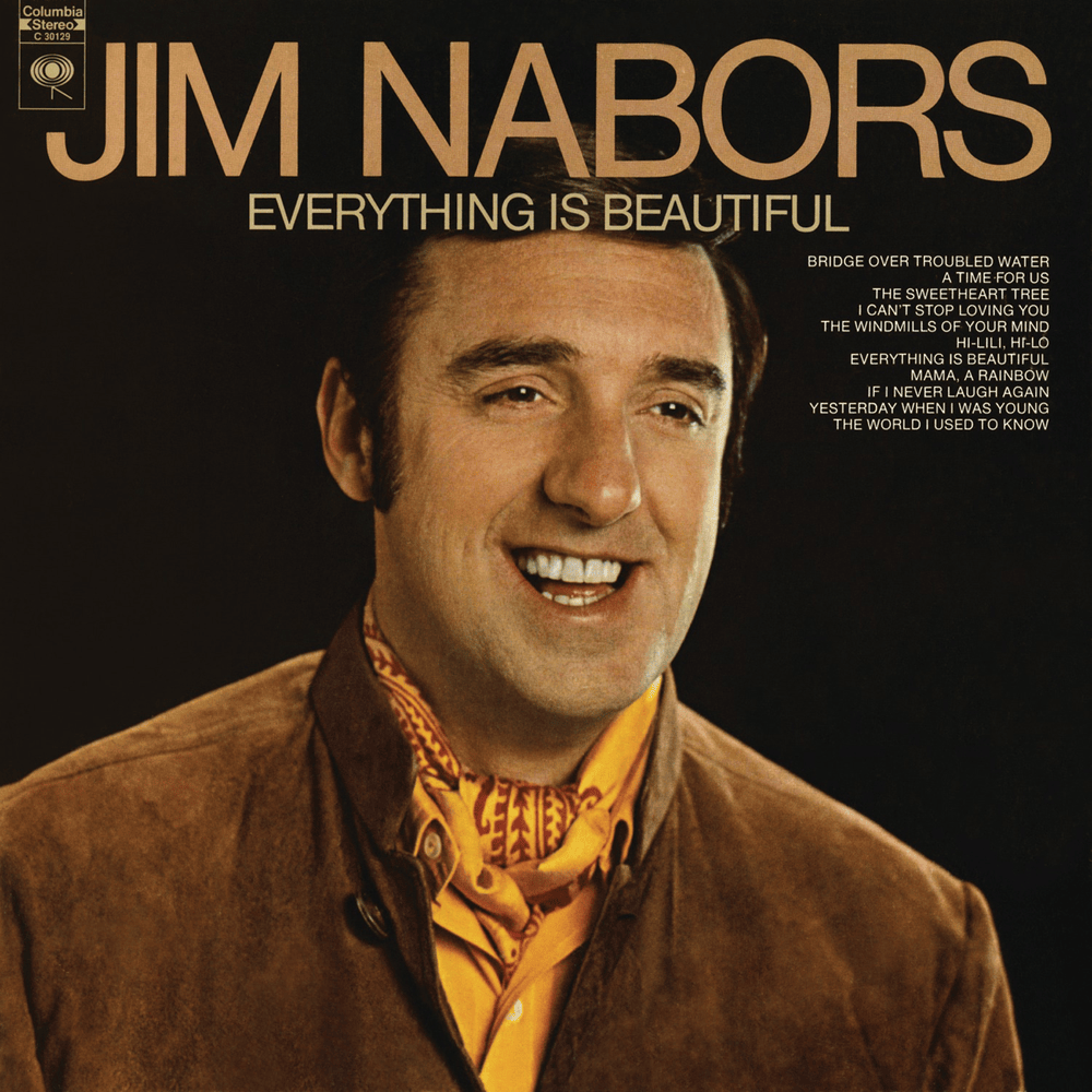 Cover image for Everything Is Beautiful