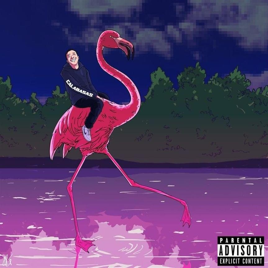 Flamingo by Token