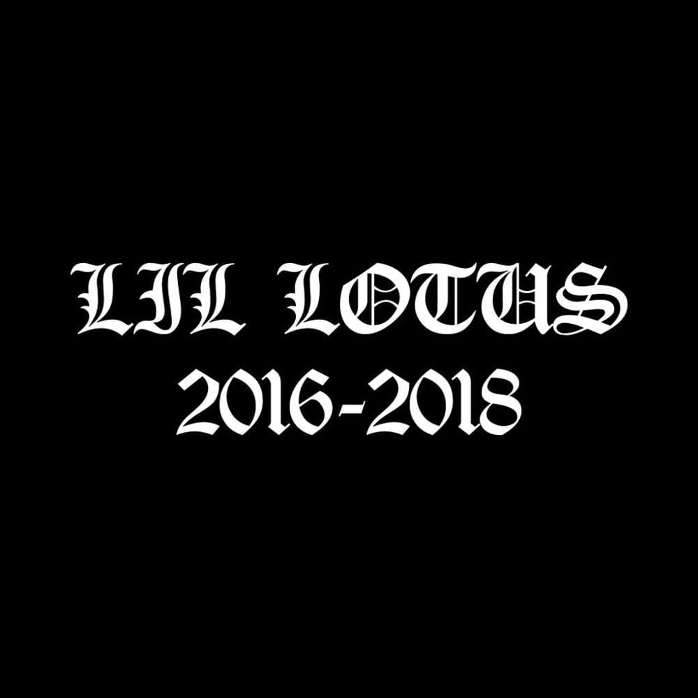 Cover image for 2016 - 2018 