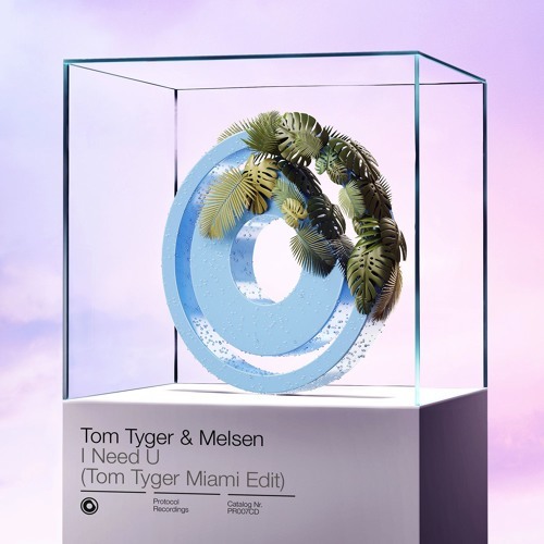 I Need U (Tom Tyger Miami Edit) by Tom Tyger