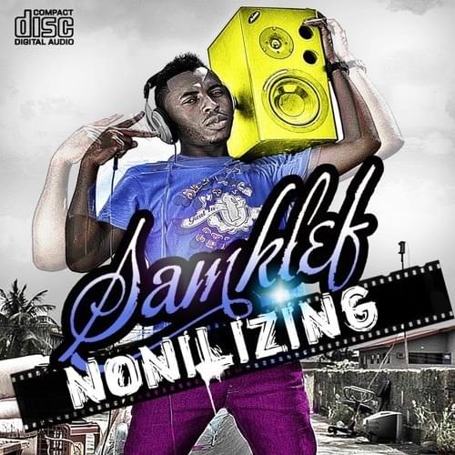 Cover image for Nonilizing