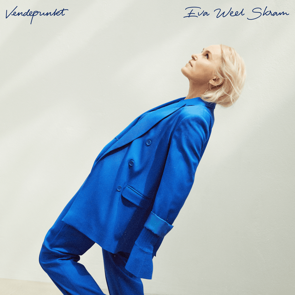 Cover image for Vendepunkt