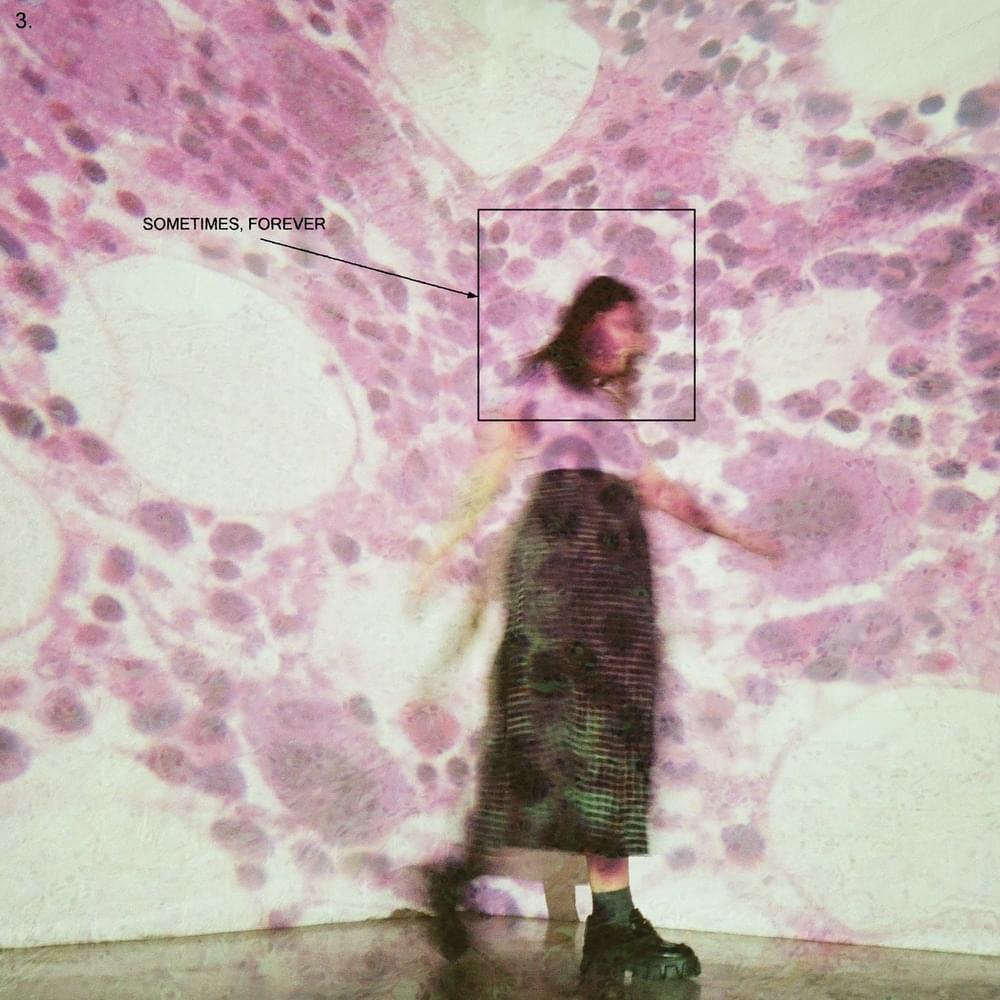 Album cover art for "Fire In The Driveway" by Soccer Mommy