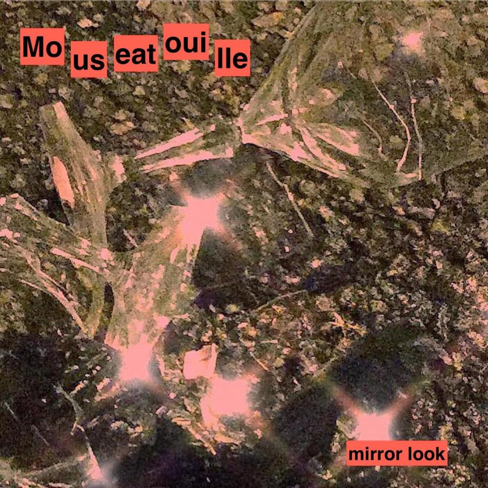 Album cover art for "Mirror Look" by Mouseatouille