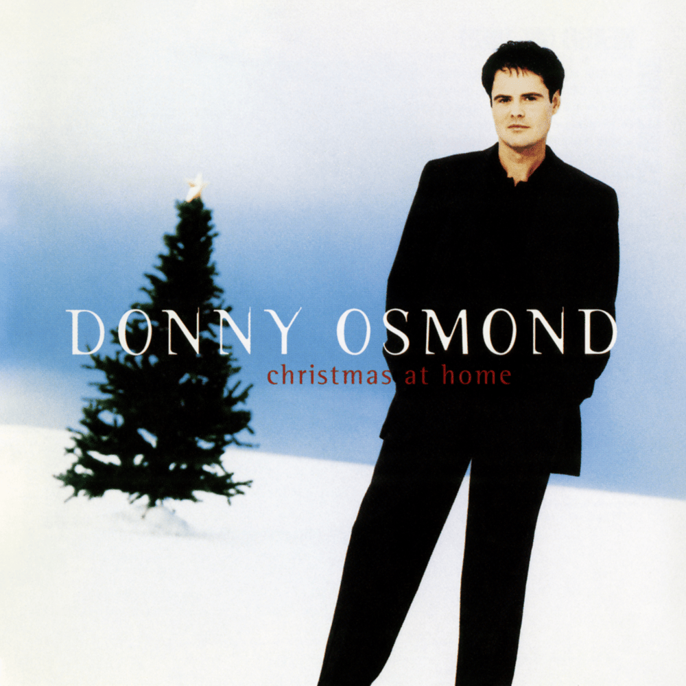 After December Slips Away by Donny Osmond