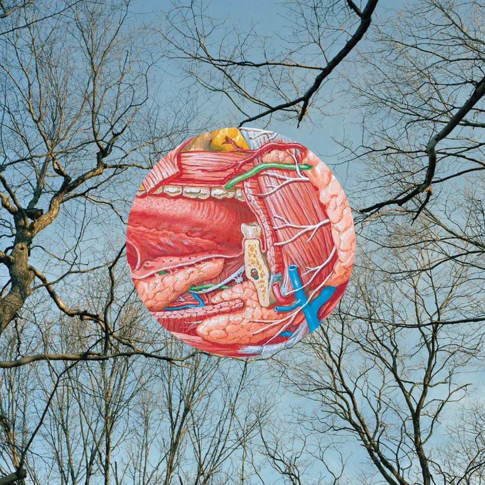 Cover image for Glean