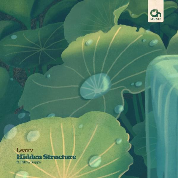 Album cover art for "Hidden Structure" by Leavv