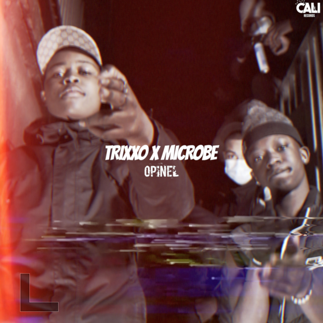 Album cover art for "Opinel" by Trixxo