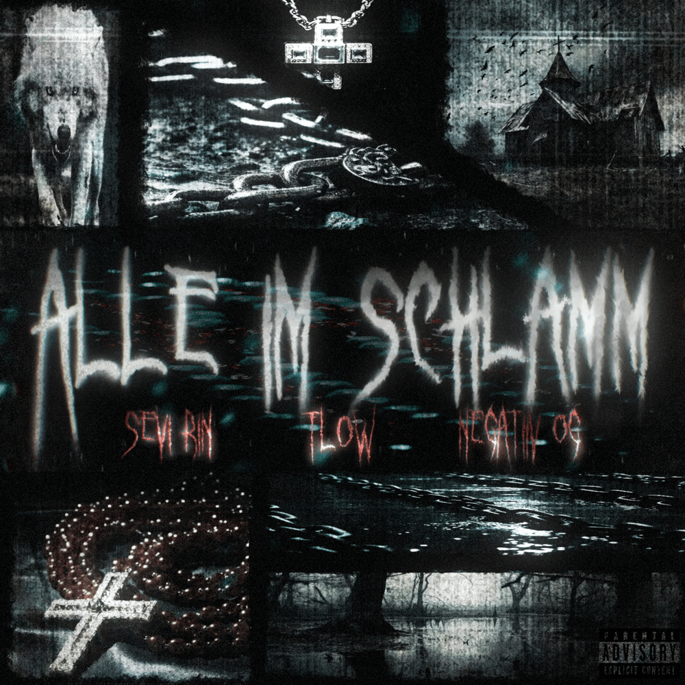 Album cover art for "Alle im Schlamm" by Sevi Rin