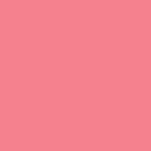 Album cover art for "Salmon Pink" by BIGBABYGUCCI
