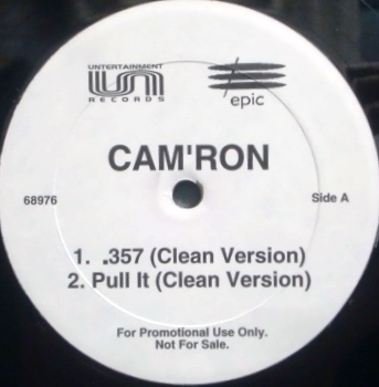 Album cover art for "Pull It" by DMX