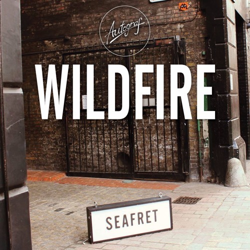 Album cover art for "Wildfire" by Seafret