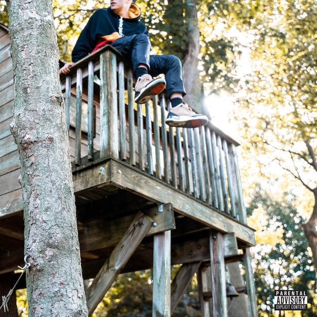 Treehouse by Token