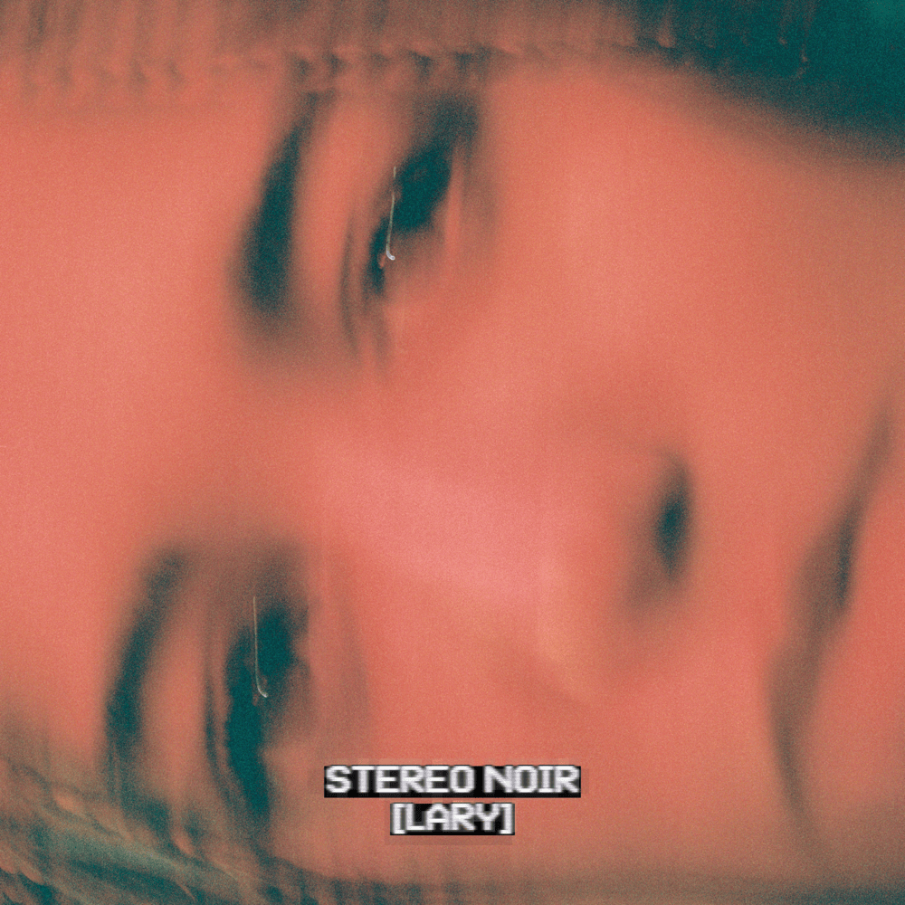 Cover image for STEREO NOIR (CD & Vinyl Version)