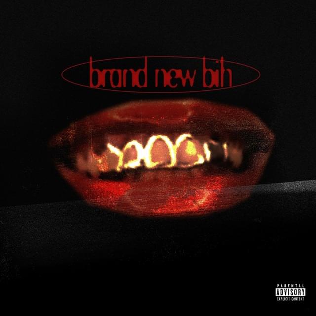 Album cover art for "BRAND NEW BIH" by Len