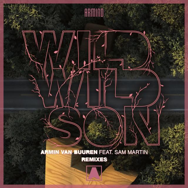 Album cover art for "Wild Wild Son (Richard Durand Remix)" by Armin van Buuren & Sam Martin
