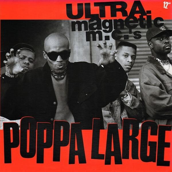 Cover image for Poppa Large