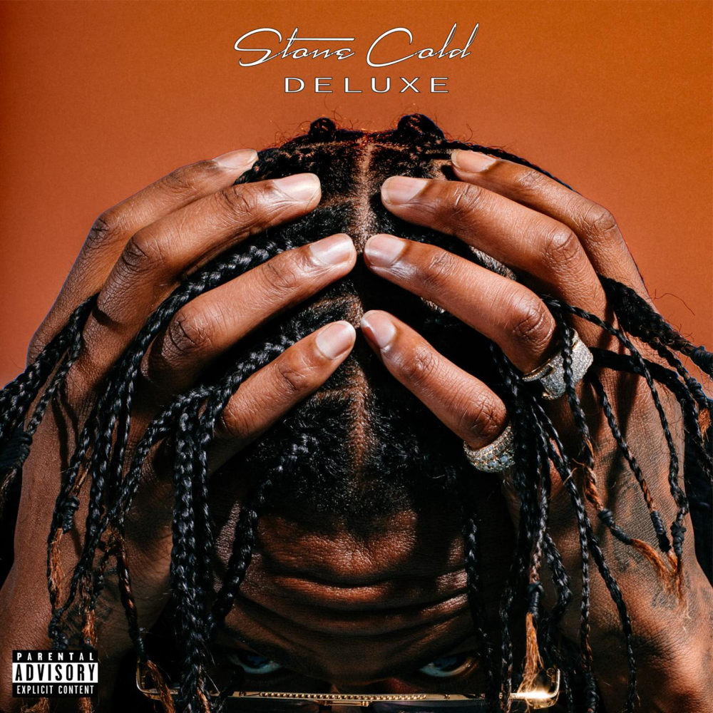 Cover image for Stone Cold: DELUXE EDITION 