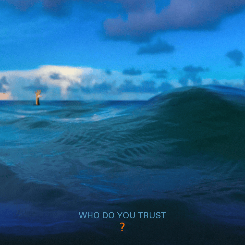 Cover image for Who Do You Trust?