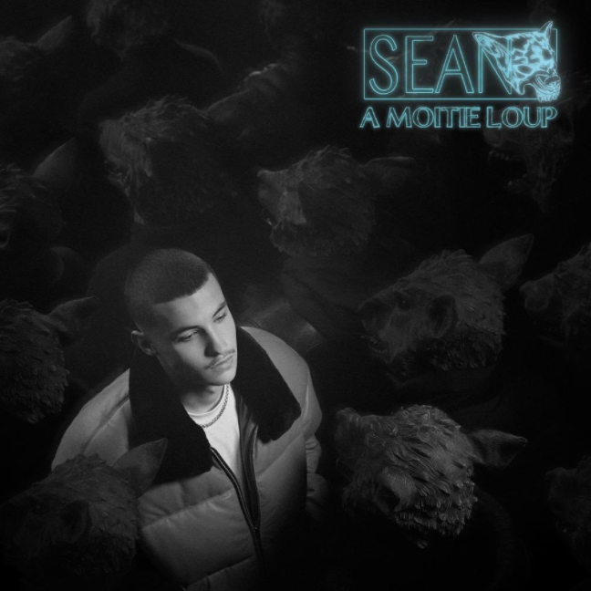 Cover image for À moitié loup