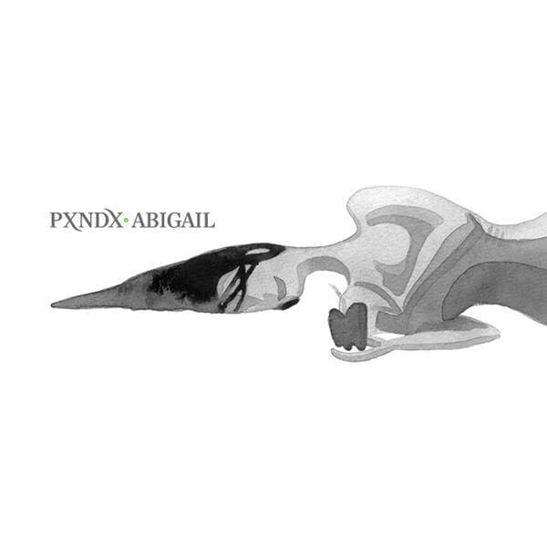 Album cover art for "Abigail" by PXNDX