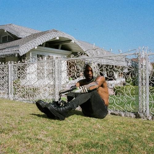 Album cover art for "PTSD" by JPEGMAFIA