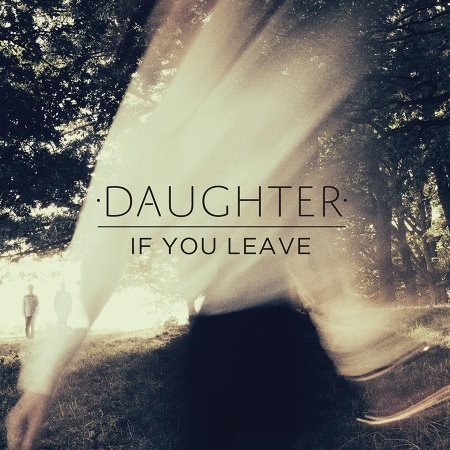 Cover image for If You Leave