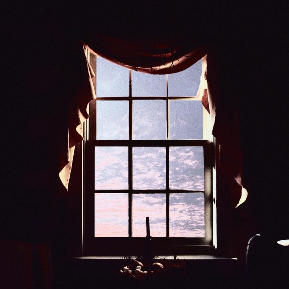 Cover image for Searching
