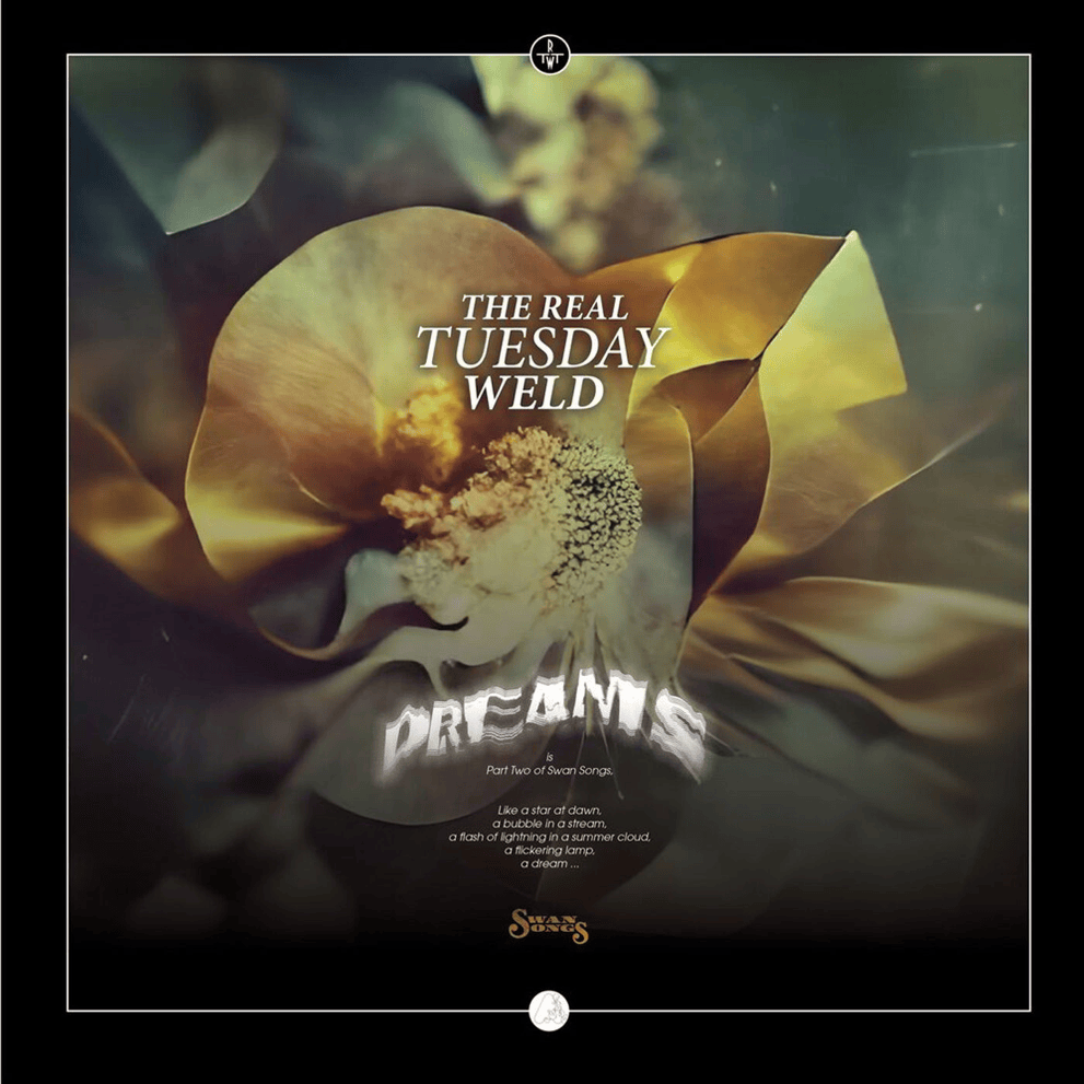 Last Light by The Real Tuesday Weld