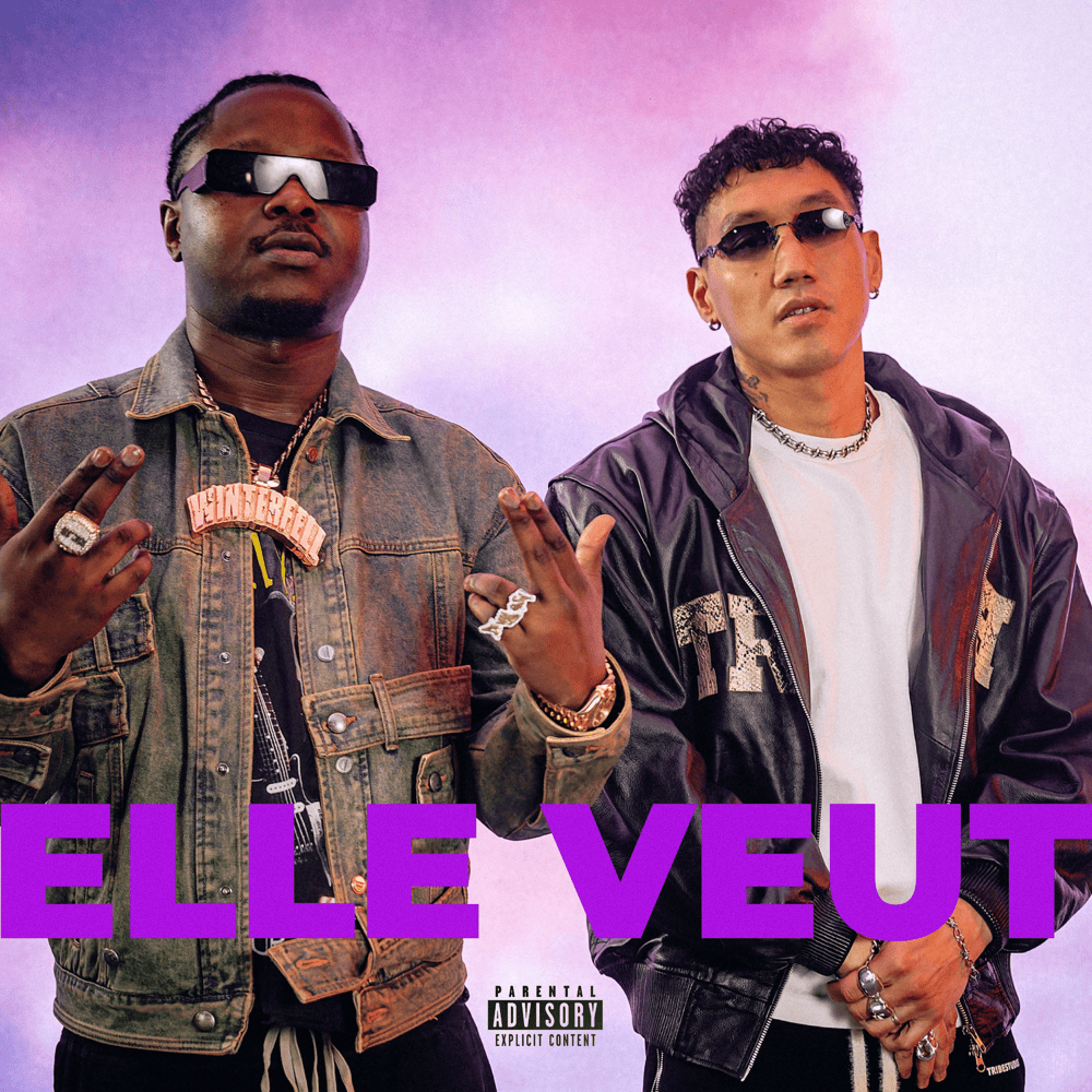 Album cover art for "Elle veut" by Monsieur Nov & Leto