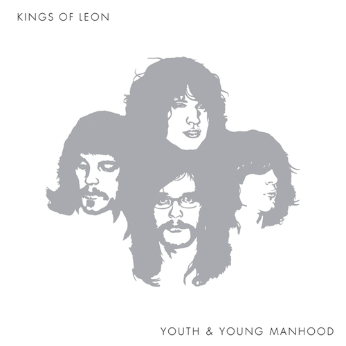 Cover image for Youth & Young Manhood