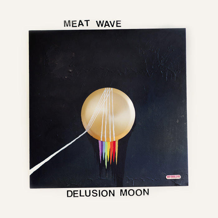 Album cover art for "Cosmic Zoo" by Meat Wave