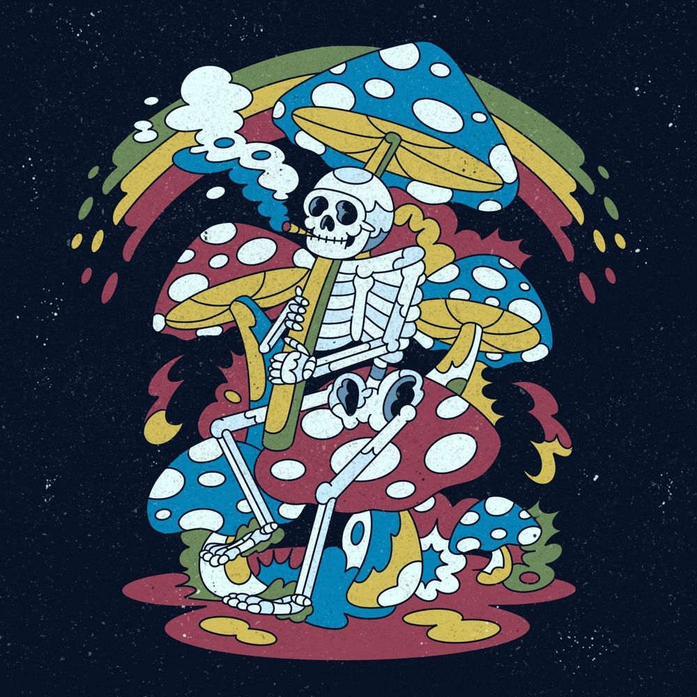 Album cover art for "Where Do I Belong?" by Disco Lines