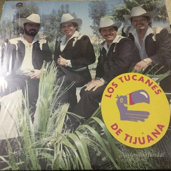 Cover image for ¡No Los Confunda!