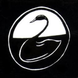 Photo of The Black Swan Network