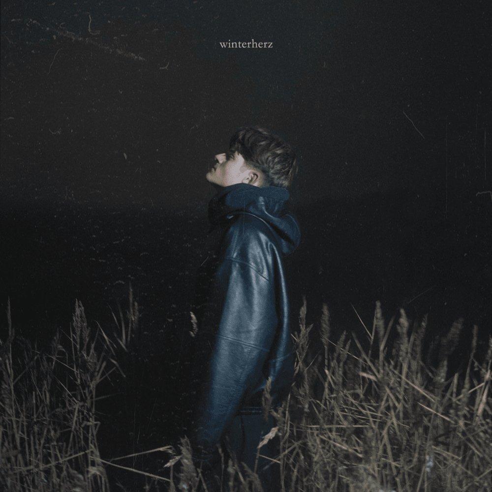 Album cover art for "Winterherz" by JAS