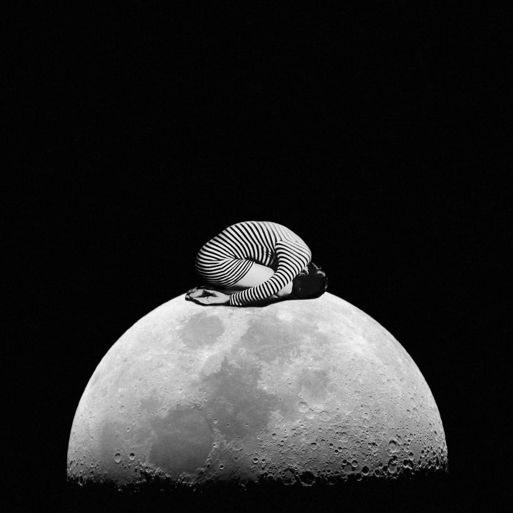 Cover image for Songs for Disappearing