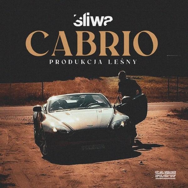 Album cover art for "Cabrio" by Śliwa
