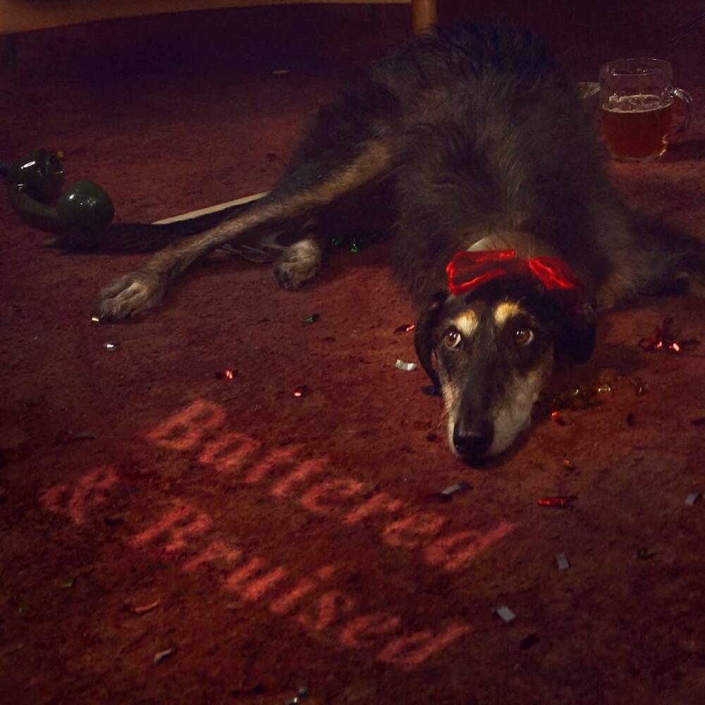 Album cover art for "Battered & Bruised" by Circa Waves