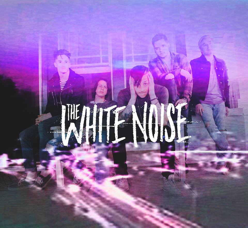 The White Noise Profile Picture Photo of The White Noise