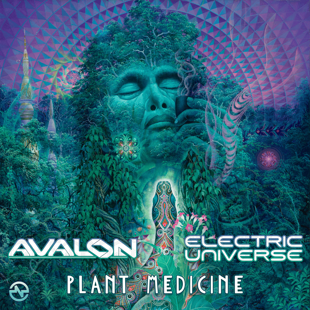 Album cover art for "Plant Medicine" by Adam Ten
