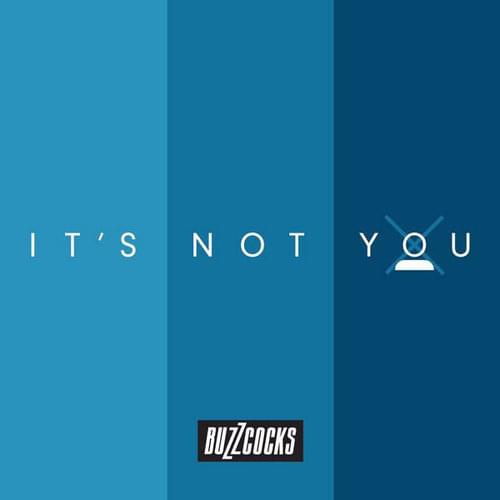 Album cover art for "It’s Not You" by Buzzcocks