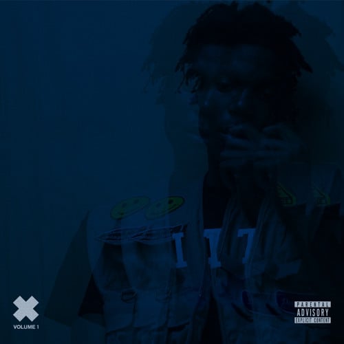 Cover image for X