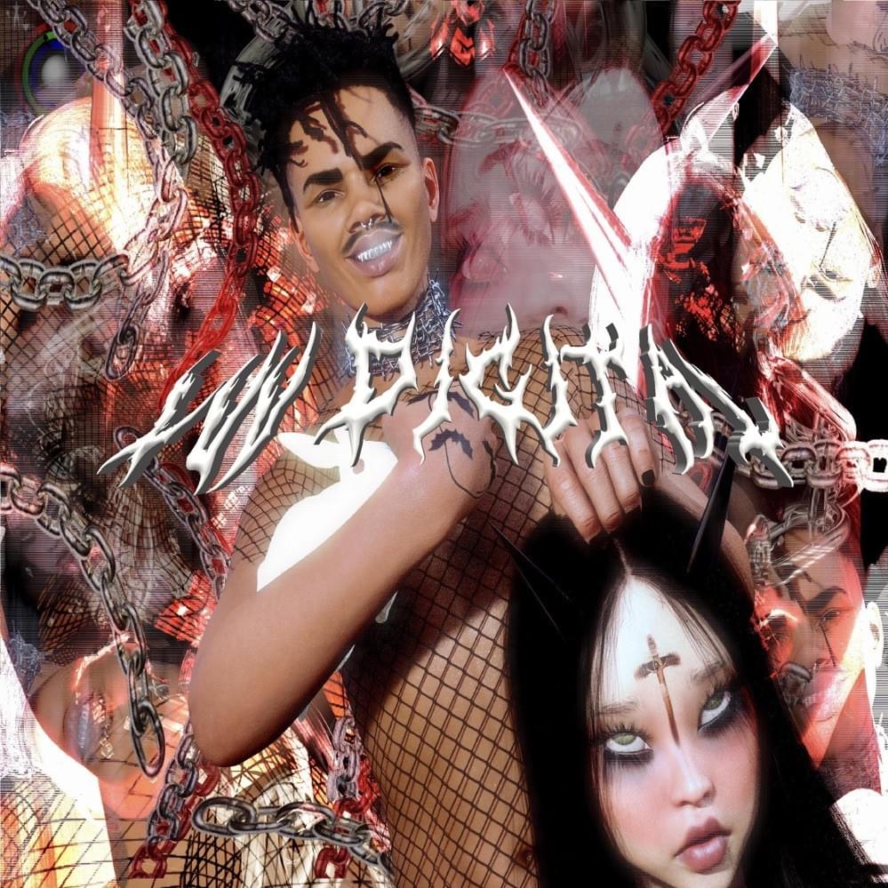 Cover image for Luv Digital