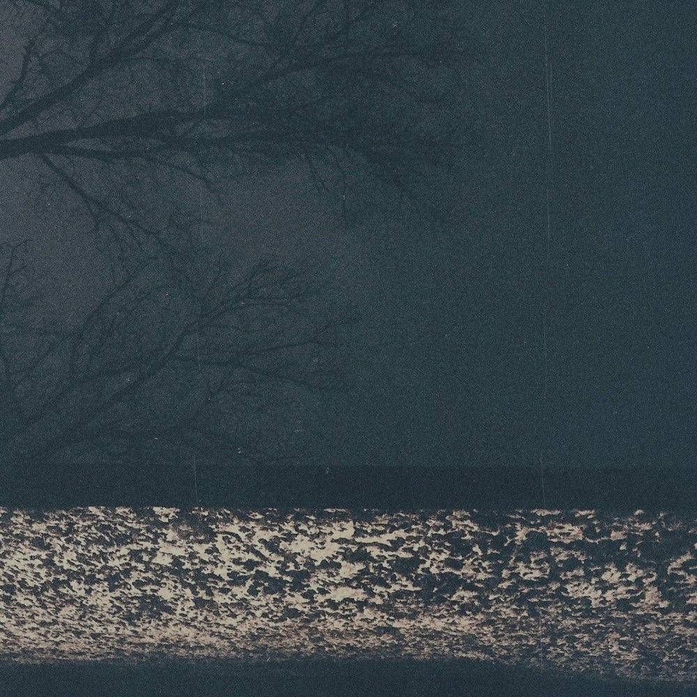 Lost Love Letters by Fog Lake