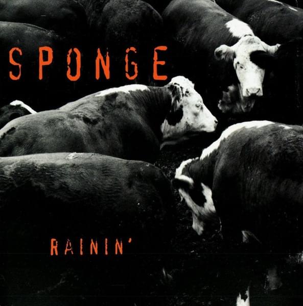 Album cover art for "Rainin’" by Sponge