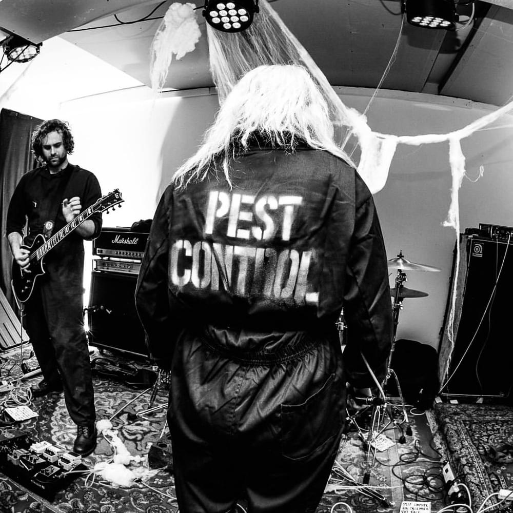 Pest Control Profile Picture Photo of Pest Control